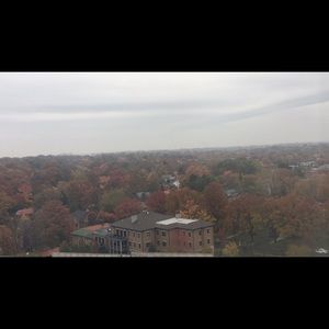 Meet your Posher, Sasha